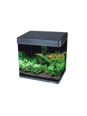 Aquário Curvo Boyu Led MS-520 45L