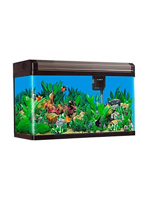Aquário Curvo Boyu Led MS-520 45L