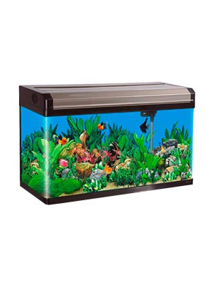 Aquário Curvo Boyu Led MS-520 45L