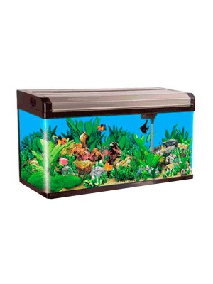 Aquário Curvo Boyu Led MS-520 45L