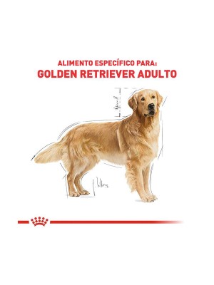 Ração Royal Canin Golden Retriever - Cães Adultos - 12kg