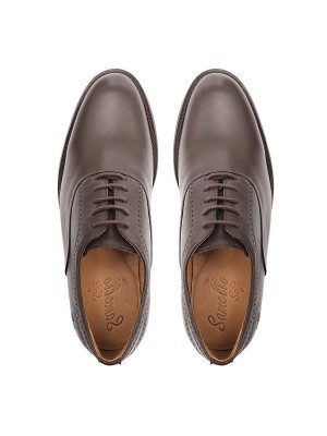 Sapato Casual Samello Derby Em Couro Masculino - Café